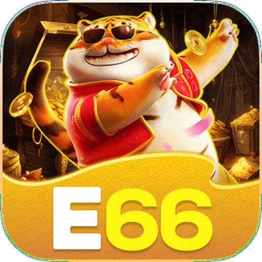 E66 Brasil Logo